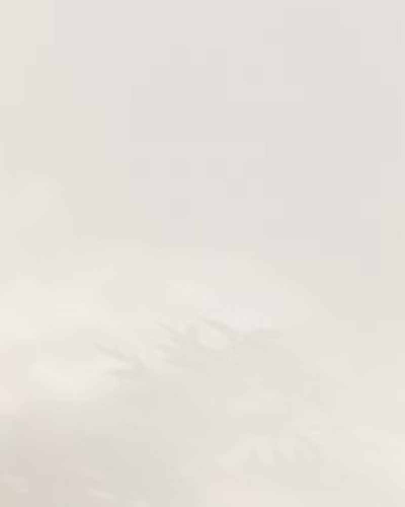 TER_Concept-Left-1